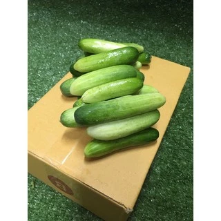 แตงกวาสด 🥒- ผักผลไม้สด