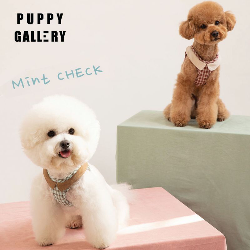 Puppy Gallery  เสื้อรัดอกสุนัข สายรัดอกสุนัข เสื้อสายจูงสุนัข รุ่นคอปก Marron Check Collar Harness สไตล์เกาหลี รูปที่ 8