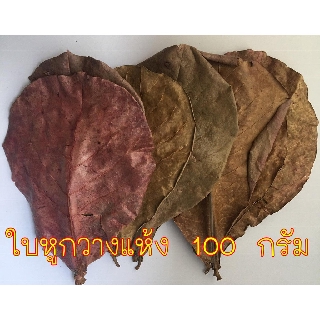 ใบหูกวางแห้ง สำหรับเลื้องปลากัด กุ้งสี ปรับสมดุลน้ำ รักษาโรคปลา 100  กรัม