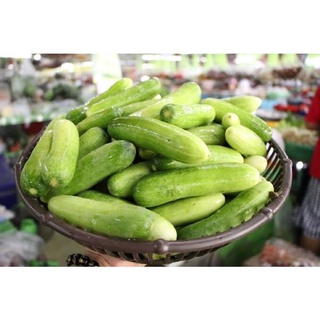 🥒แตงกวาอ่อน🥒ลูกเล็ก สด ใหม่ ขนาดบรรจุ 1 กิโล