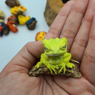 โมเดลกบเรซิ่น Australian tree frog พร้อมส่งอยู่ไทย