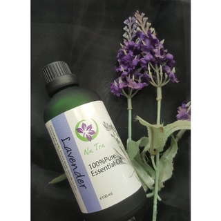 ลาเวนเดอร์น้ำมันหอมระเหยแท้ 100% 100 ml (Lavender)