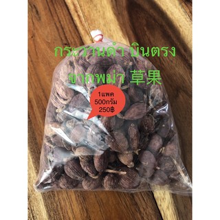 ชะโก กระวานดำ เฉ่าโก่ว ลูกเฉาก๊วย เช่ากวอ Black Cardamom 草果 คัดพิเศษ คุณภาพดี