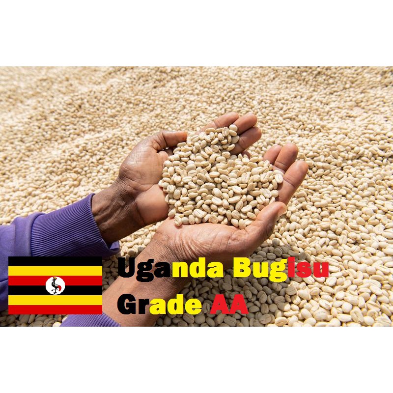 Uganda Bugisu Green Raw Coffee Bean 200 กรัม .