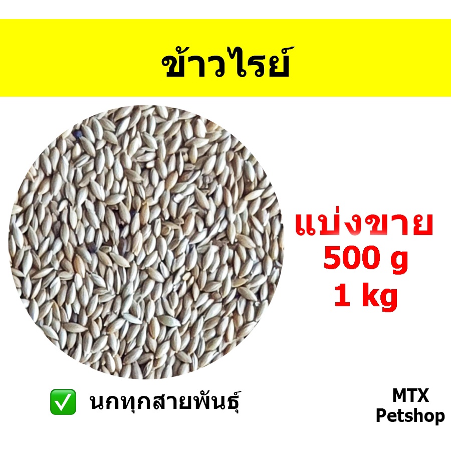 ข้าวไรท์ ข้าวไรย์ ข้าวไรซ์  ธัญพืชสำหรับนก สัตว์ฟันแทะ ขนาด 1 kg.