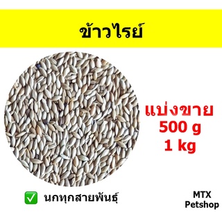 ข้าวไรย์ // สำหรับนก และ สัตว์ฟันแทะ