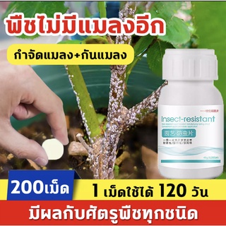 🐛1 เม็ดใช้ได้120 วัน🐛Hydra ยาเชื้อราในพืช ยากำจัดเพลี้ย ยากำจัดสัตรูพืช 40g(200เม็ด) ฆ่าแมลงเท่านั้น ไม่ทำร้ายพืช