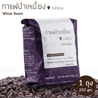 เมซโซ่ เมล็ดกาแฟป่าเหมี้ยง 1 ถุง (250 กรัม/ถุง) ：Pa-Miang Roasted Coffee Bean 1 bag (250gm/bag)