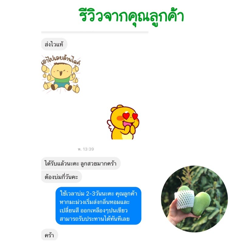 มะม่วงอกร่อง 1 กิโลกรัม ✅พร้อมส่ง✅ มะม่วงโบราณ แท้ 💯% สุก หอม หวาน น่ารับประทาน✔️ รูปที่ 7