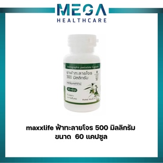 maxxlife ฟ้าทะลายโจร 500 มิลลิกรัม ขนาด  60 แคปซูล