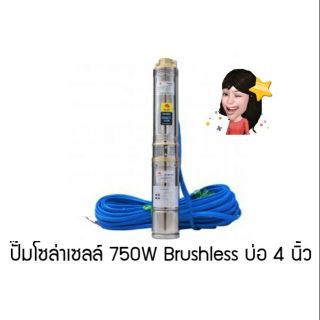 750 วัตต์ ปั๊มบาดาลโซล่าเซลล์ บัสเลส ควายเหล็ก