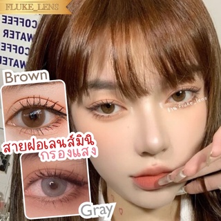 คอนแทคเลนส์ Noey brown gray 💕wink💕 เลนส์ถนอมดวงตา กรองแสง นำเข้าจากเกาหลีแท้ 🇰🇷 wink