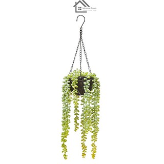 แคคตัสระย้า พร้อมกระถางแขวน FONTE รุ่น 190454 ขนาด 13 x 13 x 40 ซม. สีเขียว🌿💚ต้นไม้ปลอม ต้นไม้มงคล ต้นไม้แต่งบ้าน ต้นไม้