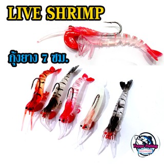 กุ้งยาง Live Shrimp 7เซน ตีเก๋า กระพงชายฝั่ง