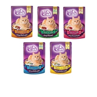 1 ซอง อาหารแมว catty cat แบบเปียก ซอง 80 g.