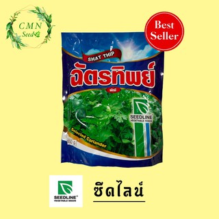 เมล็ดพันธุ์ ผักชี ฉัตรทิพย์ 300 กรัม 500 กรัม