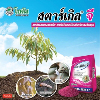 สตาร์เกิล จี ขนาด 1 กิโลกรัม แถมฟรีช้อนตวง