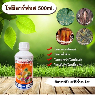 โฟลิอาร์ฟอส 500ml. กรดฟอสโฟนิก สารกำจัดเชื้อรา โรครากเน่าโคนเน่า โรคราน้ำค้าง โรคยอดเน่า โรคต้นเน่า โรคเส้นดำ