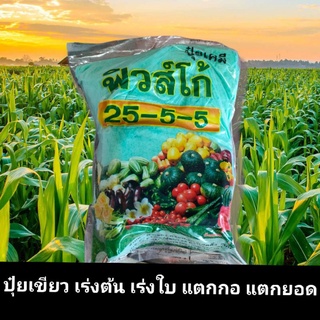 ปุ๋ยเกล็ดเย็นสูตร25-5-5 ขนาด 1 กิโลกรัม