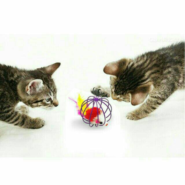 ของเล่นแมวญี่ปุ่น MJ_SHOP บอลกรงหนู บอลของเล่นแมว ( คละสี ) ของเล่นแมวราคาถูก อาหารว่างแมว