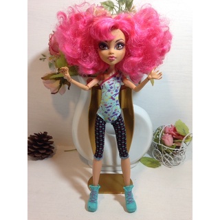 🌸🍃ตุ๊กตามอนสเตอร์ไฮ Monster high Howleen wolf แท้🍃🌸