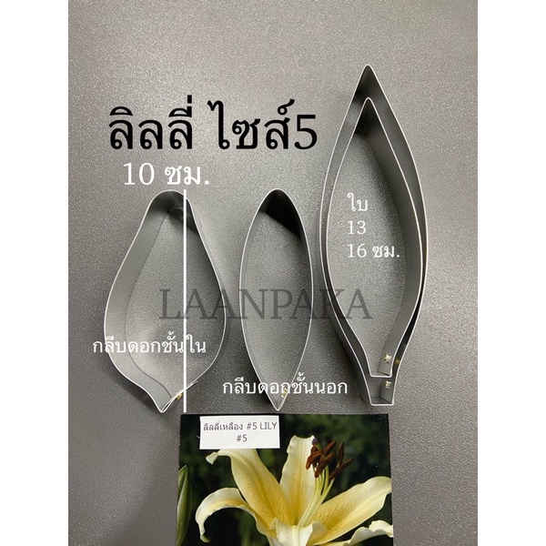 พิมพ์ตัดลิลลี่ ไซส์5 / อัดลายใบ / อัดลายดอก