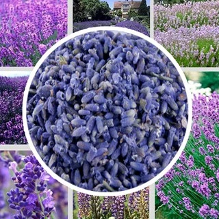 ชาดอกไม้ต่างๆ，Flowers tea，100 g / ถุง（各种花茶T）ช่วยแก้ไอ ปรับปรุงภูมิคุ้มกัน ขจัดความชื้น