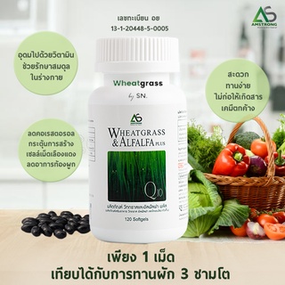 ส่งฟรี 🔥 Wheatgrass &amp; Alfalfa Plus ผักเม็ดแอมสตรอง วีทกราส อัลฟัลฟ่า ผักเม็ด อาหารเสริมดูแลสุขภาพ 120 แคปซูล