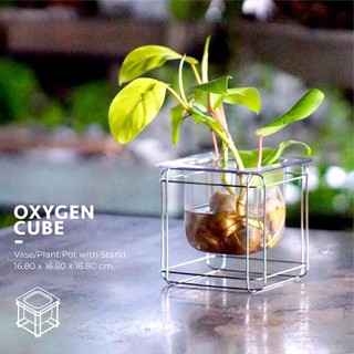 Oxygen Cube|กระถางต้นไม้ใสสวย|สำหรับปลูกไม้น้ำหรือปลูกต้นไม้ในบ้าน