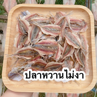 ปลาหวานไม่งา ปลาข้างเหลือ  อร่อย กลมกล่อม ทานคู่กับอะไรก็อร่อย - Pailin seafood