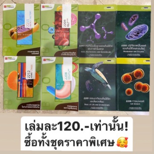 My Image 35