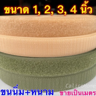 ตีนตุ๊กแก เมจิกเทป 1 นิ้ว 2 นิ้ว 3 นิ้ว 4 นิ้ว ไม่มีกาว สีเบจ ขี้ม้า กรมท่า น้ำตาล เทา ตัดเป็นเมตร ได้ ด้านขนนิ่ม+หนาม