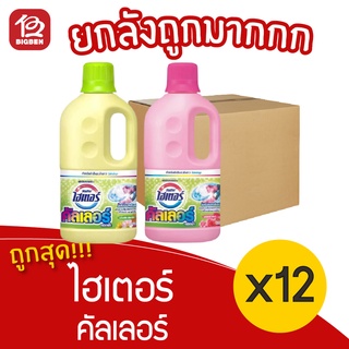 [ยกลัง 12 ขวด] Haiter ไฮเตอร์ คัลเลอร์ 1000 มล. ผลิตภัณฑ์ขจัดคราบขนิดน้ำ