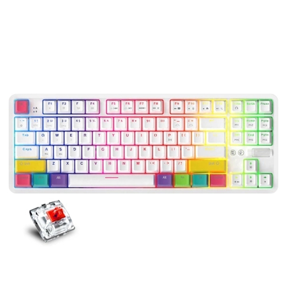 Ajazz K870T RGB 87 Keys Mechanical Keyboard Red Switch คีย์บอร์ด คีย์บอร์ดไร้สาย