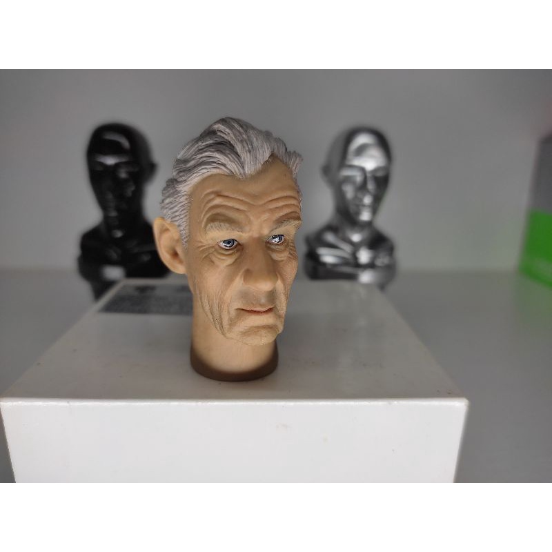 1/6 HEAD แบบคอยาว 007