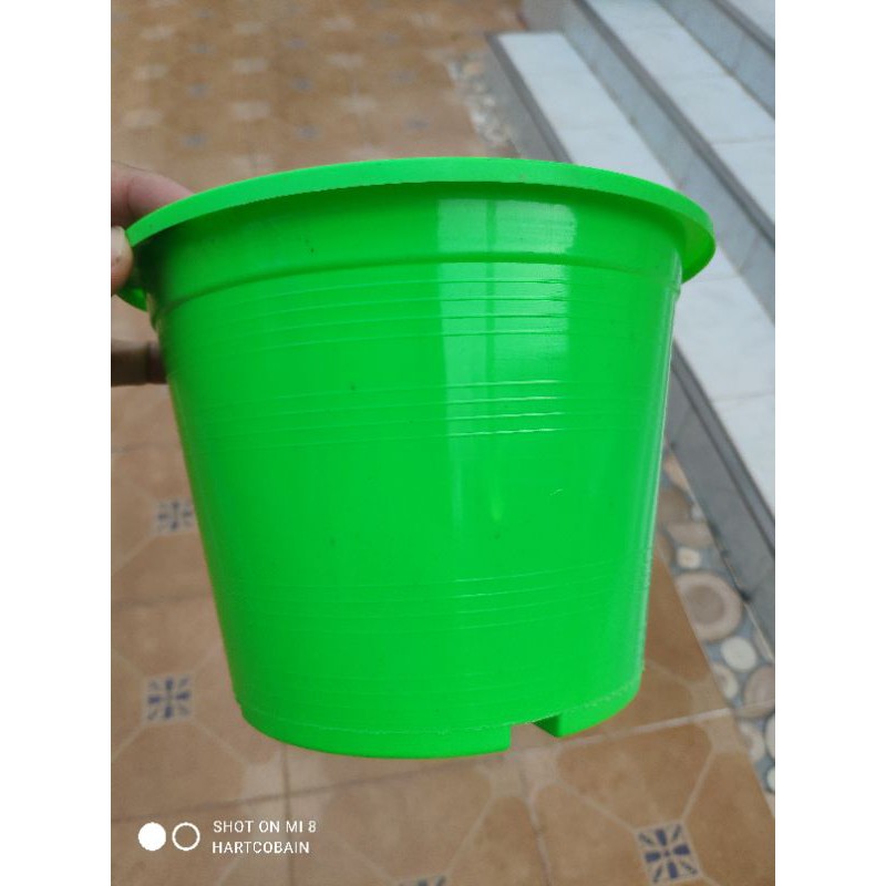 กระถางสีพาสเทล คละสี แพคละ 10 ใบ และ 5 ใบ ขนาด 6 และ 8 นิ้ว - รูปที่ 5