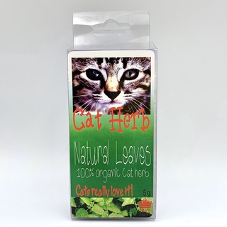 Cat Herb Natural Leaves 100% organic สมุนไพรธรรมชาติ 100% ขนาด 5g.