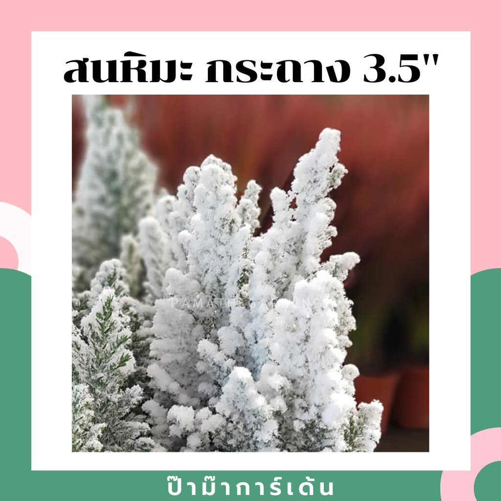 มุมมอง 2