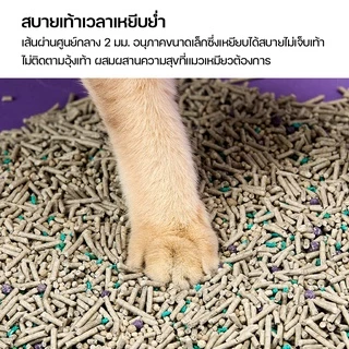 Petkit Mixed Cat Litter 5in1 ทรายเต้าหู้ สูตรเฉพาะจาก Petkit 7ลิตร [PK23]