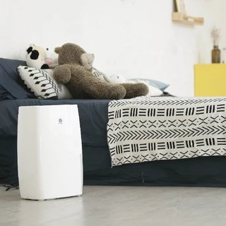 NEW WIDETECH Electric Air Dehumidifier for home เครื่องดูดความชื้น 18L/30L/12L/16L