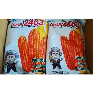 เมล็ดพันธุ์ข้าวโพดเลี้ยงสัตว์ TS2463 แบรนด์ ดร.เป๊ก 10 kg