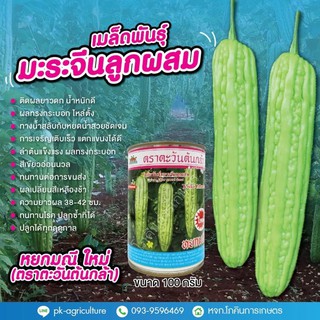 เมล็ดพันธุ์มะระจีน หยกมณีใหม่ ขนาด 100 กรัม