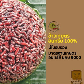 [มีใบรับรองเกษตรอินทรีย์ ปลอดสารพิษ 100%] ข้าวอินทรีย์ 100% 1kg ข้าวสดใหม่ทุกวัน ตรา กระติบโต