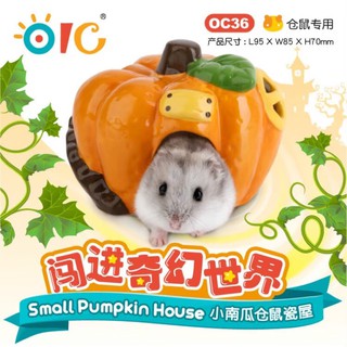 บ้านแฮมสเตอร์ Pumpkin