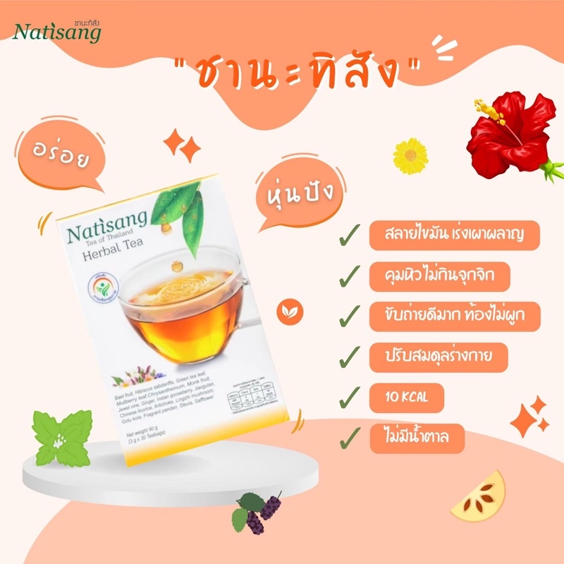 ชา ชานะทิสัง(5 ซองชา) ลดน้ำหนัก ลดความอ้วน ชาสมุนไพร ลดน้ำตาลในเลือด หุ่นดี  แก้ท้องผูก ลดความดัน ลดคอเลสเตอรอล ดีท็อก - Nabee072 - Thaipick