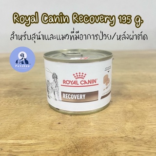 Royal Canin Recovery 195 g. อาหารสุนัขและแมวที่มีอาการป่วย/หลังผ่าตัด