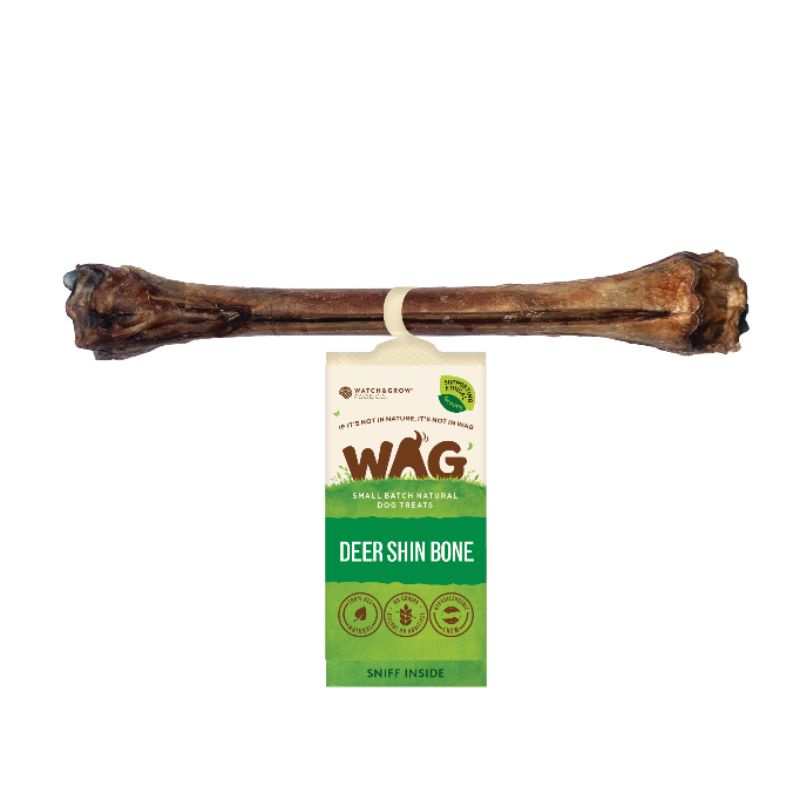 กระดูกหน้าแข้งกวาง Deer Shin Bone