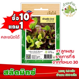 (ซื้อ10แถม1) เมล็ดพันธุ์ สลัดมิกซ์ Lettuce mix ประมาณ 500เมล็ด เจียไต๋ เมล็ดพันธุ์พืช เมล็ดพันธุ์ผัก เมล็ดผัก เม็ดผัก