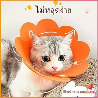 BUAKAO คอลล่าแมว ปลอกคอดอกไม้ ปลอกคอกันเลีย คอลล่าสุนัข  Cat coll