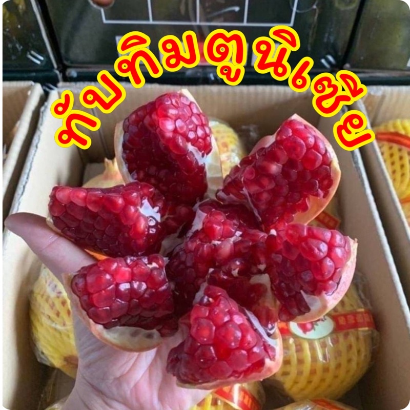 พร้อมส่ง‼️ทับทิมตูนิเซีย (ลูกยักษ์) หวานฉ่ำน้ำเยอะเมล็ดนิ่มทานได้ ไม่ต้องคาย
